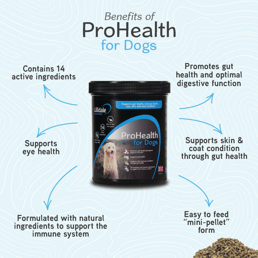 ProHealth for Dogs - 500g (Expiry 03/26)