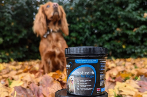 ProHealth for Dogs: FAQs