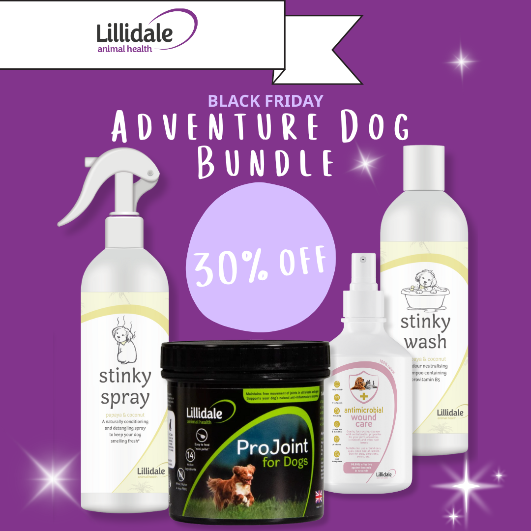 Adventure Dog Bundle