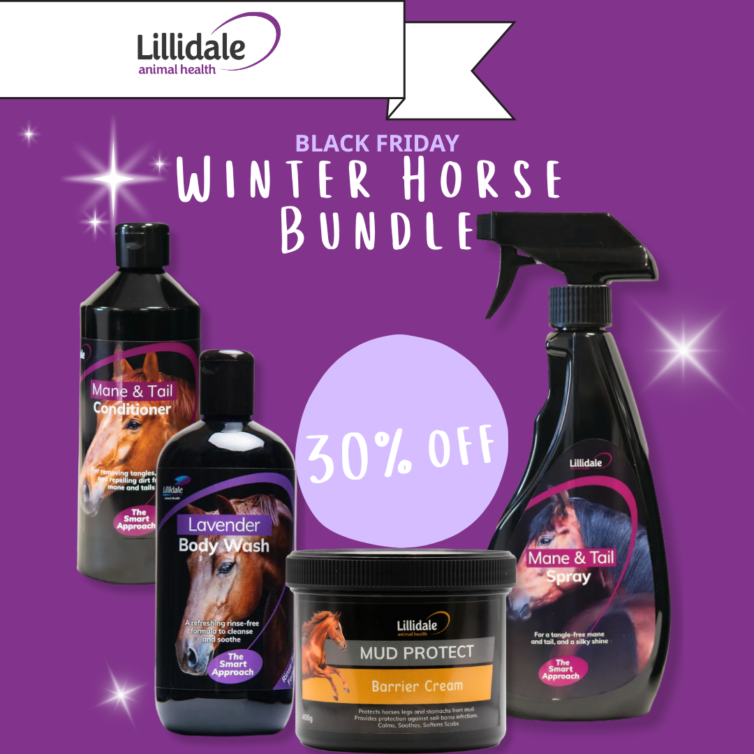 Winter Horse Bundle