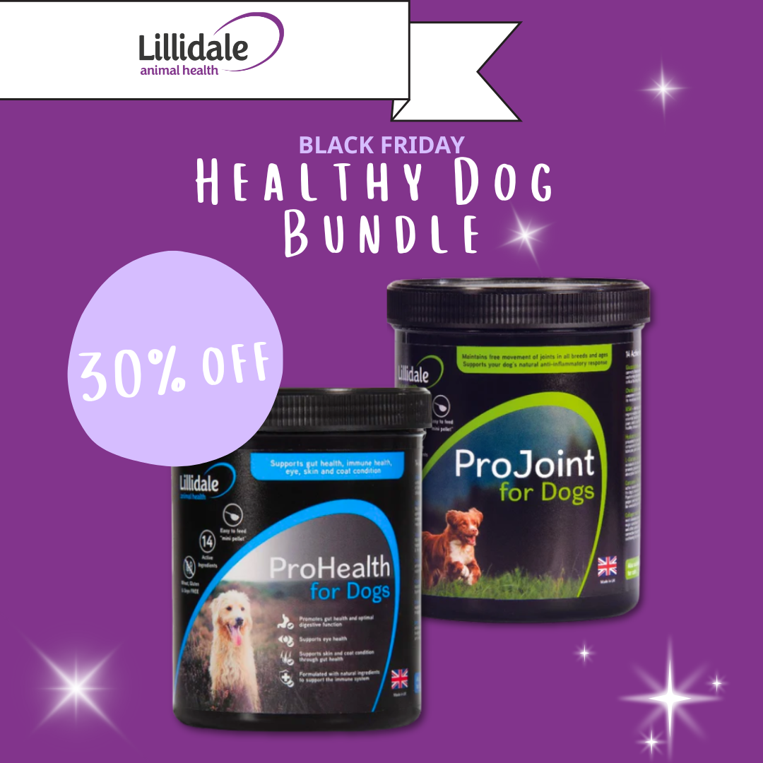 Healthy Dog Bundle