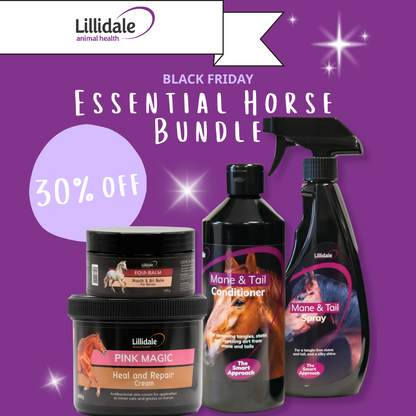 Essential Horse Bundle