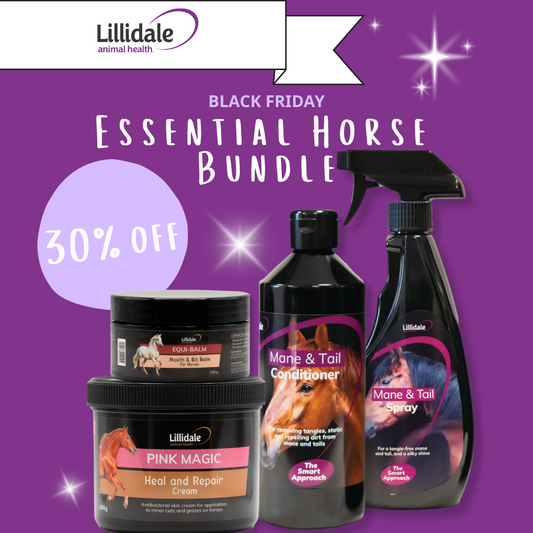 Essential Horse Bundle