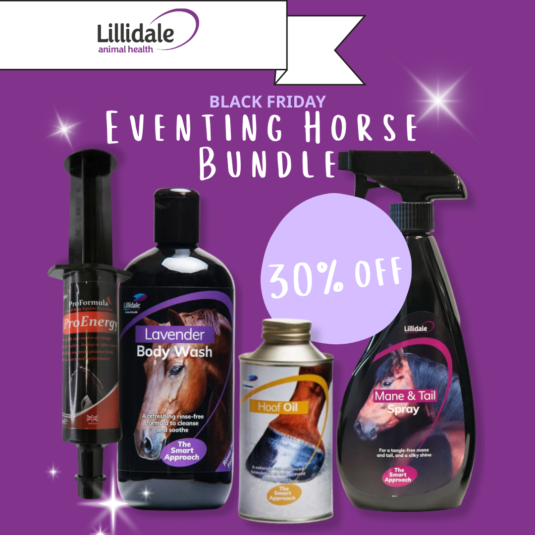 Eventing Horse Bundle
