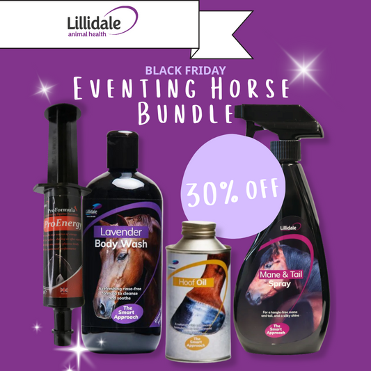 Eventing Horse Bundle