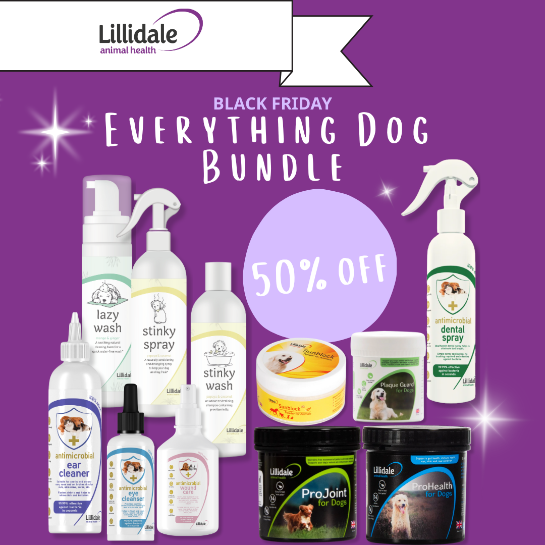 Everything Dog Bundle