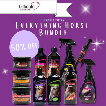 Everything Horse Bundle