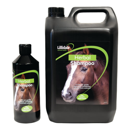 Herbal Shampoo For Horses