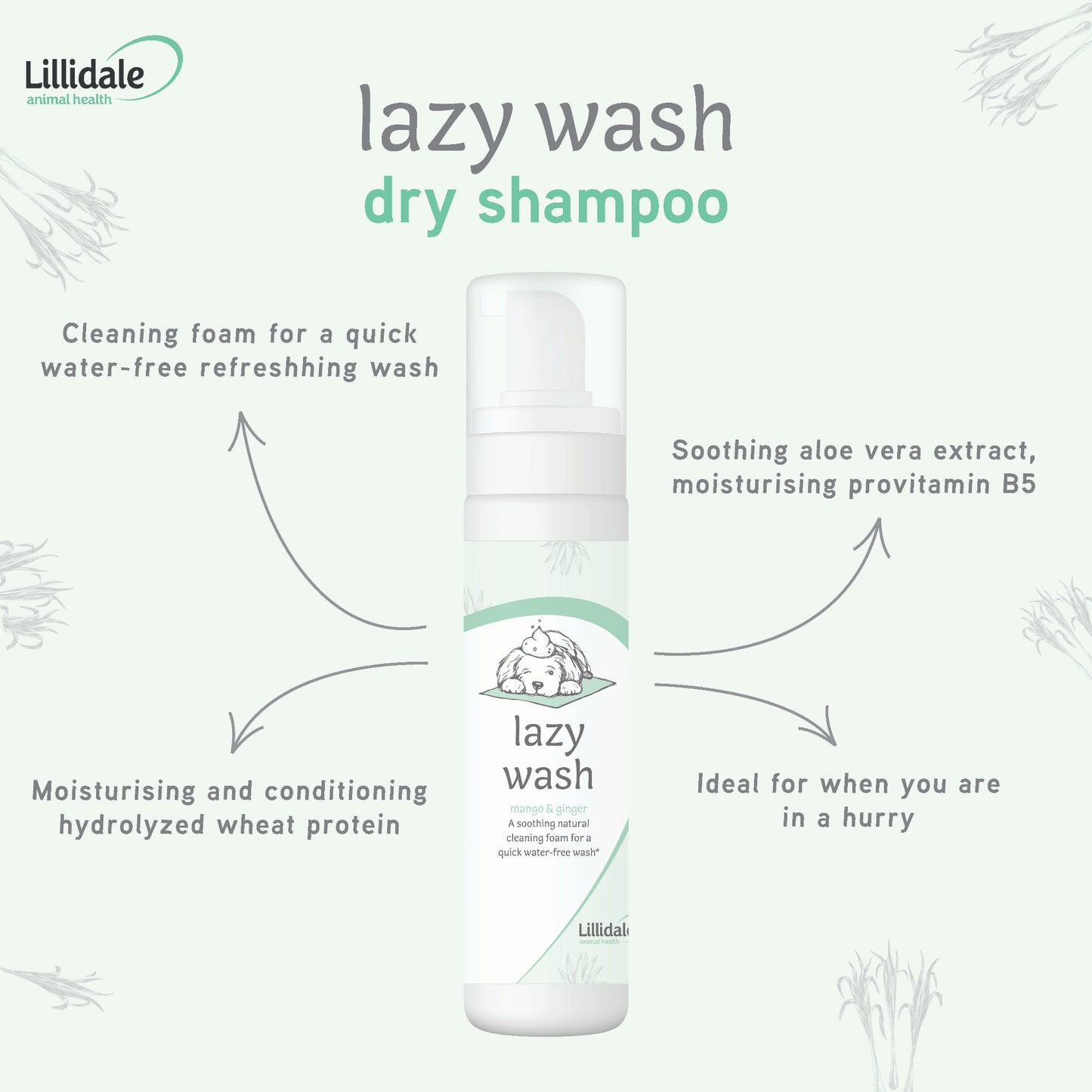 Lazy Wash For Dogs (No Rinse)