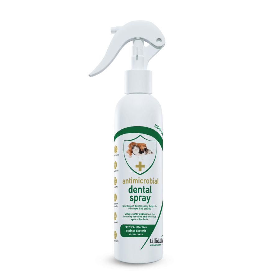 Antimicrobial Dental Spray