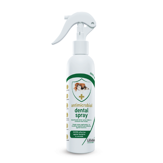 Antimicrobial Dental Spray