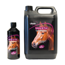 Load image into Gallery viewer, Mane &amp; Tail Conditioner for Horses
