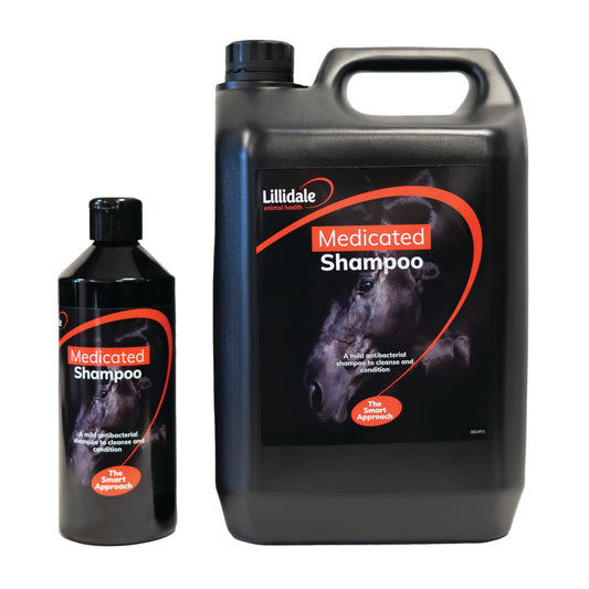 Medicated Shampoo