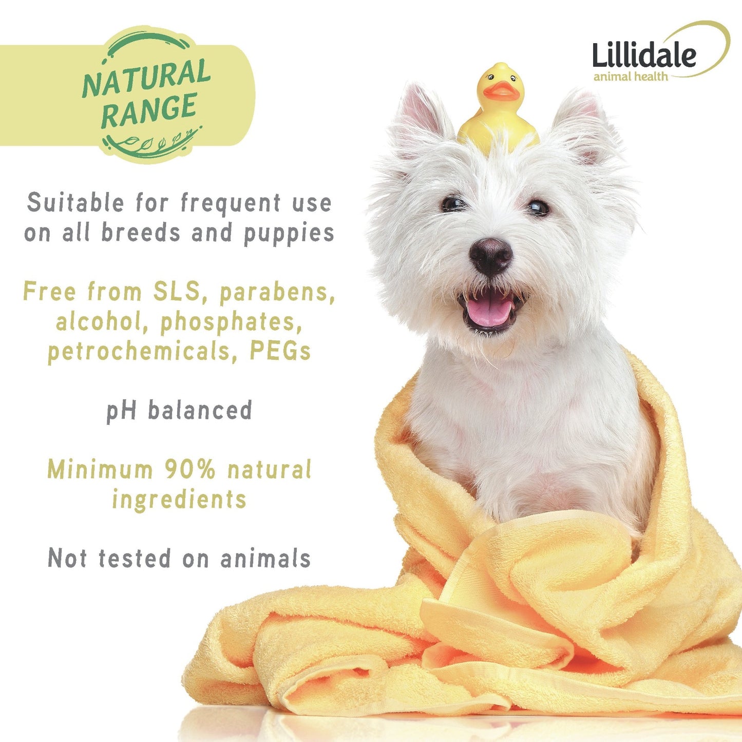 Itchy Wash For Dogs
