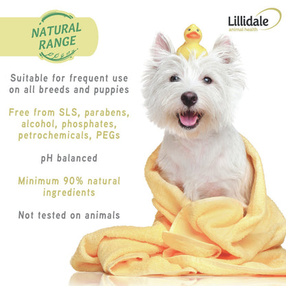 Itchy Wash For Dogs