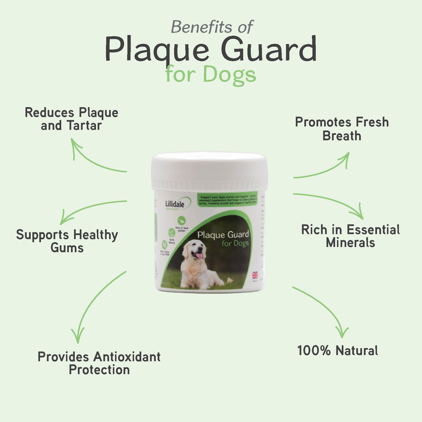 Plaque Guard for Dogs