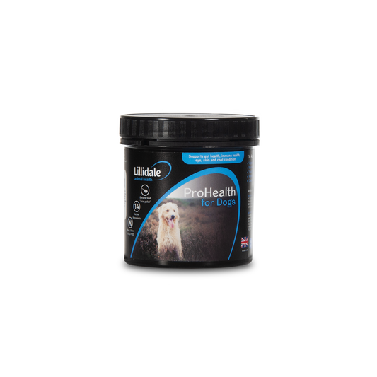 Sensitive Dog Bundle