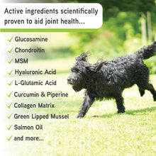 Load image into Gallery viewer, ProJoint for Dogs - 500g
