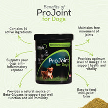 Load image into Gallery viewer, ProJoint for Dogs - 200g
