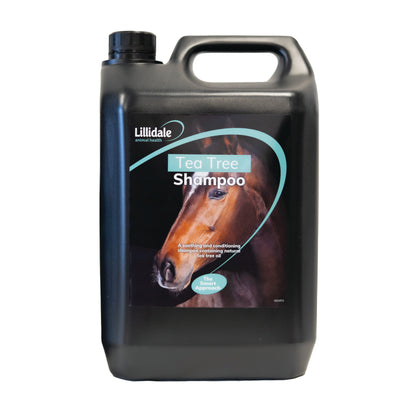 Tea Tree Shampoo
