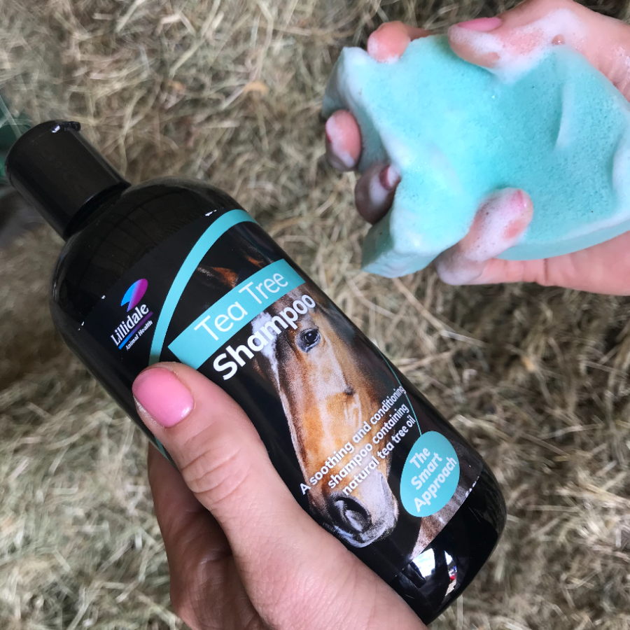 Tea Tree Shampoo