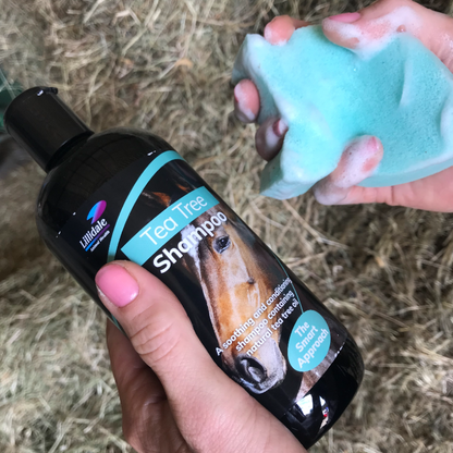 Tea Tree Shampoo