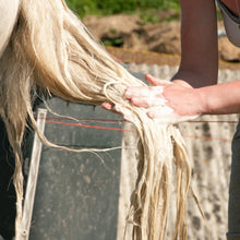 Load image into Gallery viewer, Medicated Shampoo For Horses
