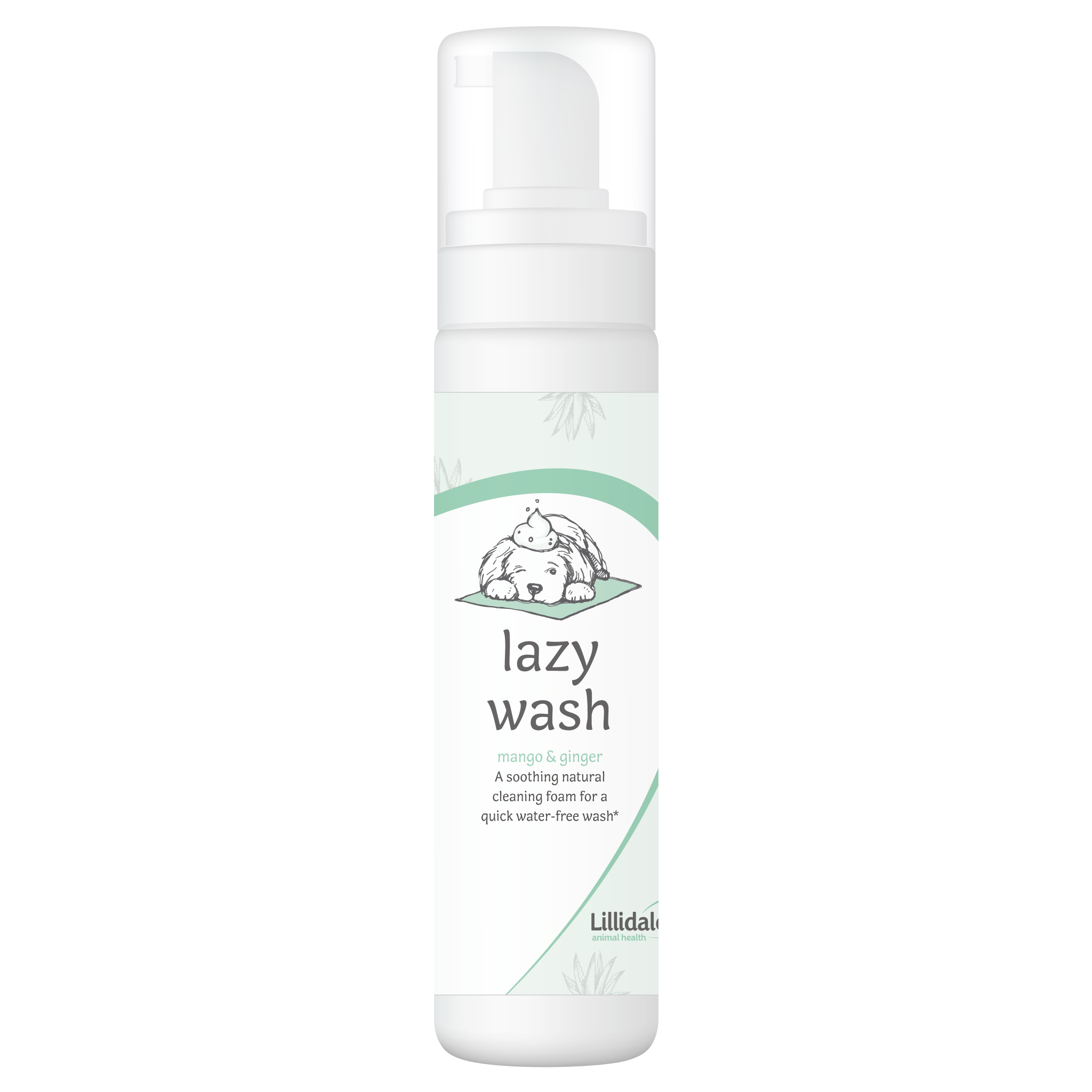 lazy-wash-dry-shampoo