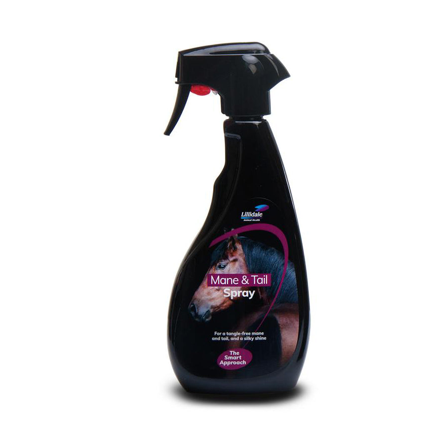 Essential Horse Bundle