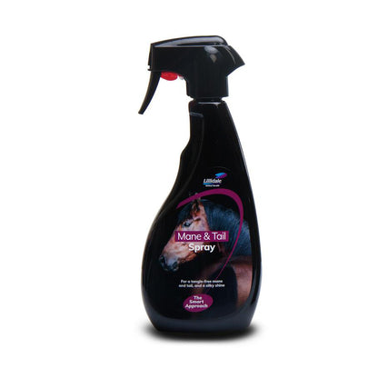 Essential Horse Bundle