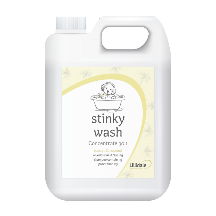 Stinky Wash (Concentrate 30:1)
